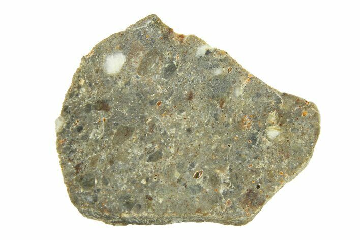 Lunar Meteorite ( g) Slice - Laayoune #291660